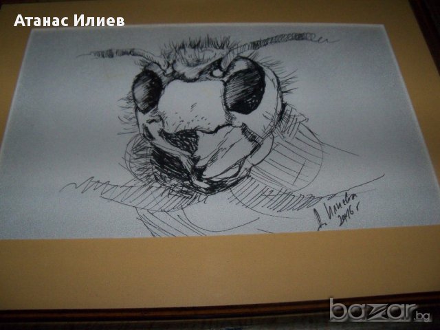 "Стършел - портрет" худ. Десислава Илиева, снимка 5 - Картини - 15945369