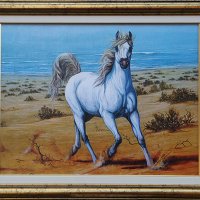 Бял кон на морския бряг, картина с рамка, снимка 1 - Картини - 24711786