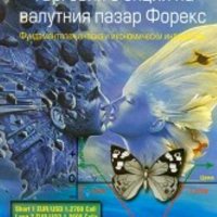 Книга Търговия с опции на валутния пазар Форекс , снимка 1 - Специализирана литература - 22582615