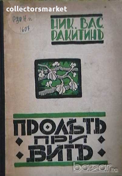 Пролетъ при Витъ, снимка 1