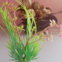 Декорация за аквариум, снимка 10 - Аквариуми - 25959181