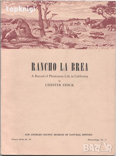 Rancho La Brea / Chester Stock, снимка 1