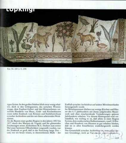 Land des Baal.: Syrien - Forum der Völker und Kulturen, снимка 3 - Други - 24197740