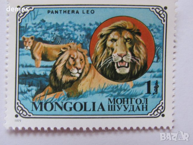 Дивите котки-сет от 7 марки, 1979, Монголия, снимка 3 - Филателия - 22374210