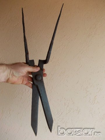 Огромна стара ножица, снимка 3 - Антикварни и старинни предмети - 13833677