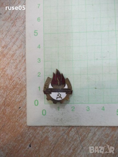 Значка "SINT GATA INTOTDEAUNA" пионерска румънска, снимка 1