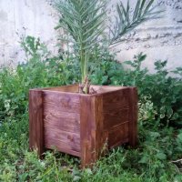 Дървени саксии (кашпи) за растения, снимка 6 - Саксии и кашпи - 21636607