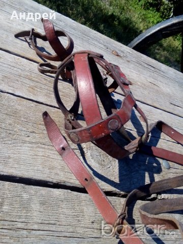 Намордник, снимка 5 - Антикварни и старинни предмети - 19592686