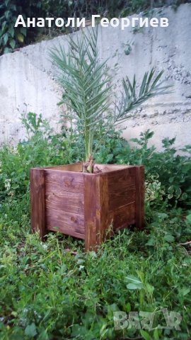 Дървени саксии (кашпи) за растения, снимка 6 - Саксии и кашпи - 21636607