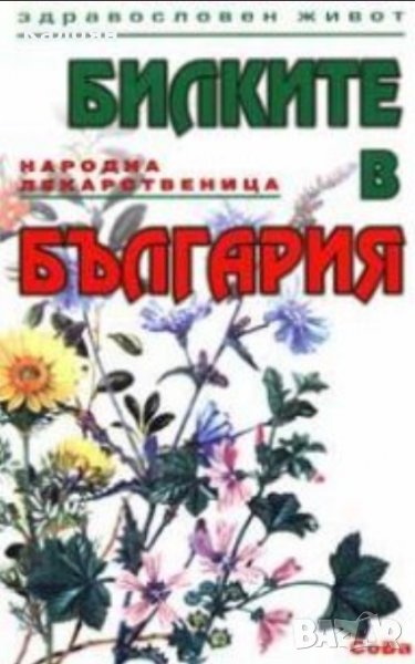 Колектив - Билките в България (Сова 2004), снимка 1