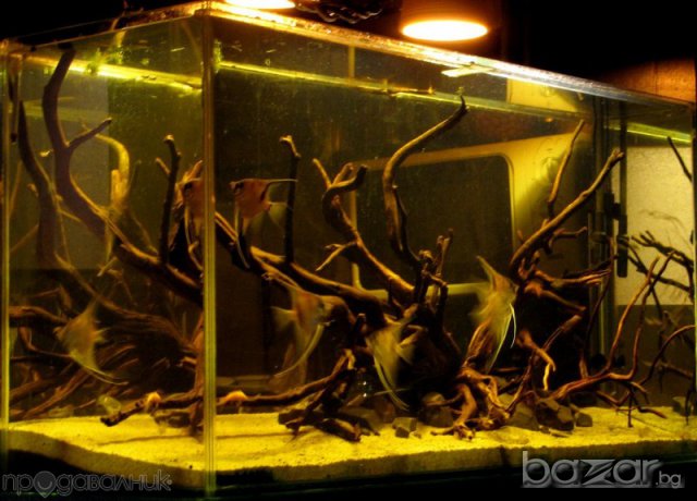 Подръжка на аквариуми, снимка 2 - Аквариуми - 8234776