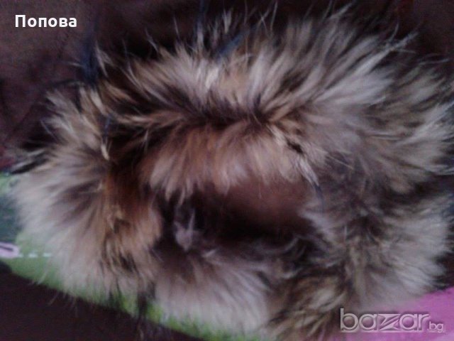 Уникална  жилетка с каскадна  лисица, снимка 5 - Жилетки - 19913631