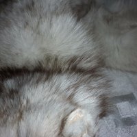  Шал яка от полярна бяла лисица , снимка 13 - Шапки - 19116831