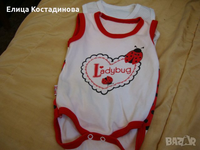 бодита, снимка 1