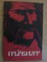 Книга "Първият - Димитър Добревски" - 258 стр., снимка 1 - Художествена литература - 8111475