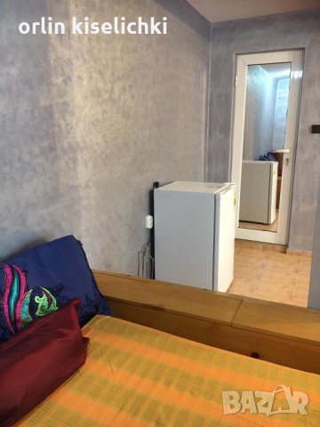 Боксионера под наем, снимка 6 - Стаи под наем - 24542098