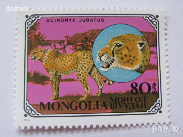 Дивите котки-сет от 7 марки, 1979, Монголия, снимка 10 - Филателия - 22374210