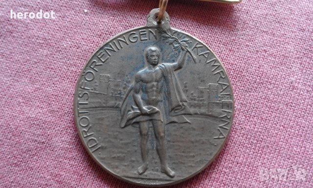 Шведски орден, медал, знак , снимка 2 - Нумизматика и бонистика - 25920354