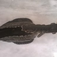 стара нощна лампа от ковано желязо, снимка 6 - Настолни лампи - 17756208