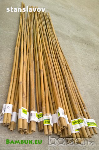 Бамбукови пръчки за градина или декорация - 120 см