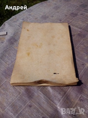 Книга Семейство и училище, снимка 6 - Антикварни и старинни предмети - 21518219