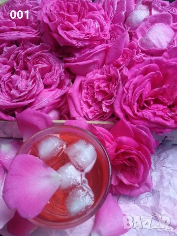 Сироп и сладко от маслодайна роза , снимка 2 - Домашни напитки - 18553977