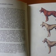 Луксозен каталог за кучета, снимка 2 - Художествена литература - 17373071