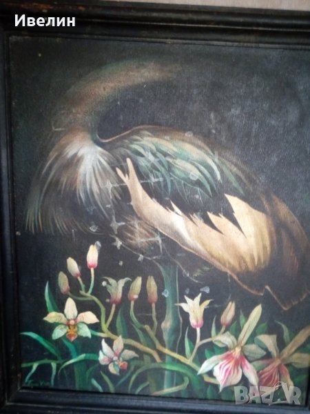 картина-сън, снимка 1