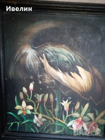 картина-сън