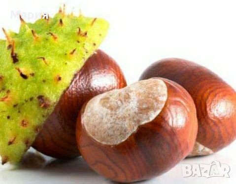 Кестени-0,40 лв/бр