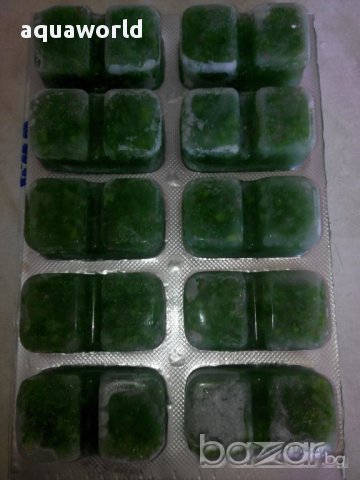 "ПРОМОЦИЯ" Замразена храна Malawi Mix 100 гр, снимка 2 - Аквариуми - 11312650