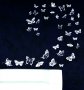 Стикер за стена - пеперуди, снимка 1 - Декорация за дома - 11403939