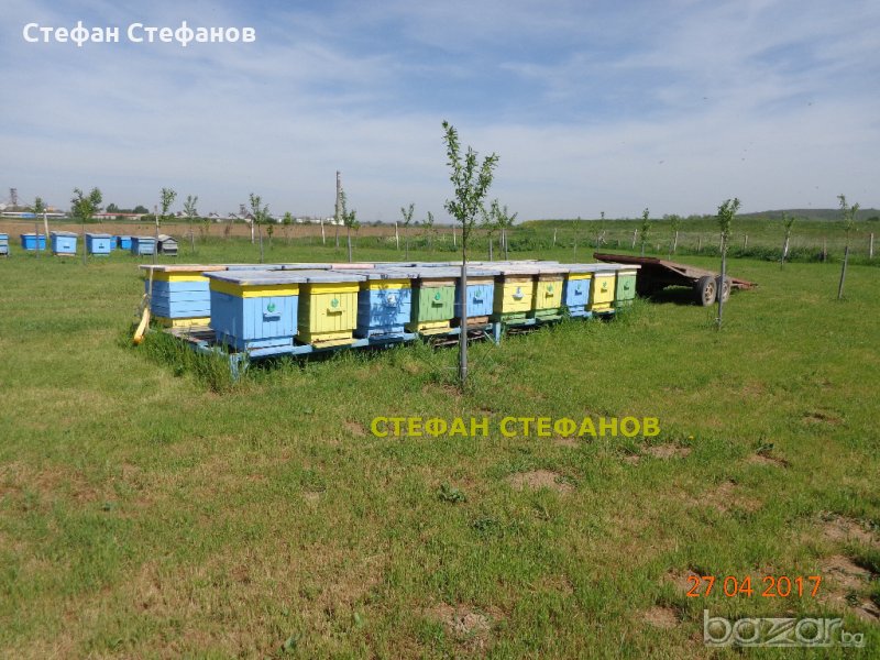 Пчеларска платформа на акация, снимка 1
