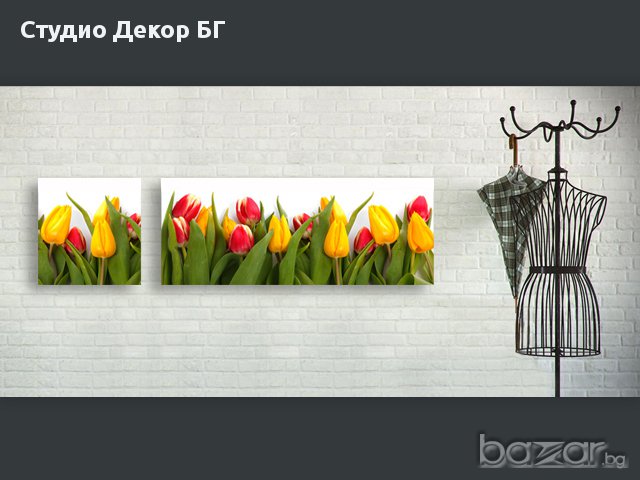 Картина сет Лалета #134