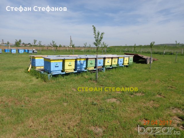 Пчеларска платформа на акация, снимка 1 - Други - 14407757