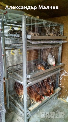 Оборудвани клетки за пъдпъдъци и кокошки, снимка 13 - Кокошки и пуйки - 18150061