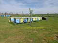 Пчеларска платформа на акация, снимка 1 - Други - 14407757