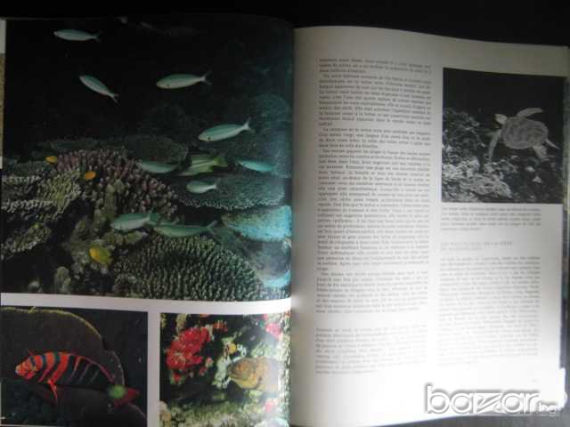 Книга "L,AUSTRALIE ET LES ILES DU SUD - ALLEN KEAST" - 300 стр., снимка 5 - Специализирана литература - 7602673