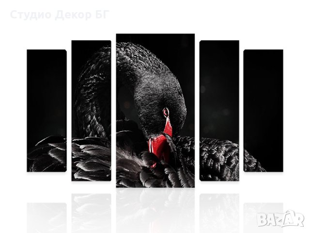 КАРТИНА Черен лебед  #489, снимка 2 - Картини - 25818256