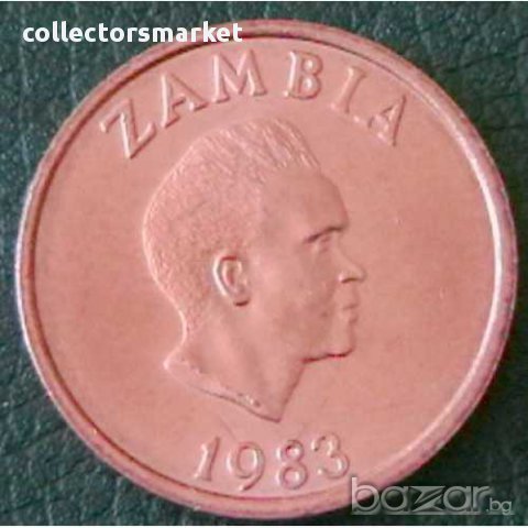 2 нгве 1983, Замбия, снимка 2 - Нумизматика и бонистика - 16286892