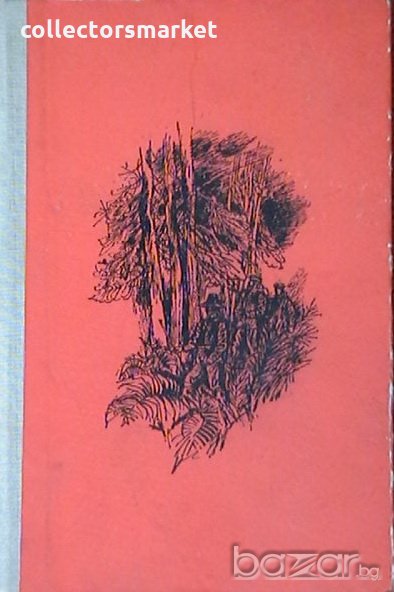 Тайната, снимка 1