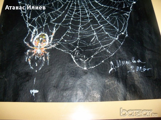 "Паяжина" страхотна графика от Десислава Илиева, снимка 3 - Картини - 16729354