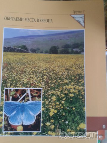 Енциклопедия Чудния свят на животните., снимка 8 - Колекции - 7575824