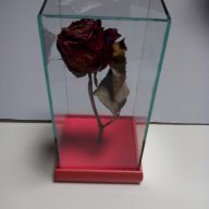 Роза за за свети валентин или 8 март, снимка 9 - Декорация за дома - 13751762
