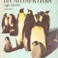 Животните на Антарктика, снимка 1 - Други - 19414388