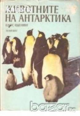 Животните на Антарктика, снимка 1 - Други - 19414388