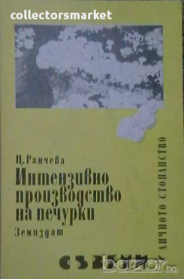 Интензивно производство на печурки, снимка 1