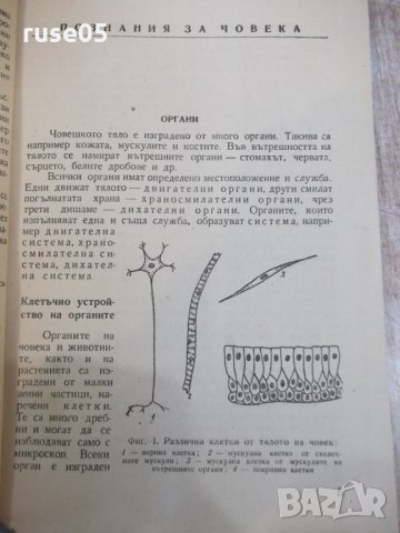 Книга "Познания за човека - Р.Косев / С.Виларова" - 84 стр., снимка 4 - Учебници, учебни тетрадки - 24540304