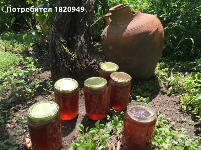 Мед (домашен, натурален, многоцветен букет), снимка 9 - Пчелни продукти - 22186355
