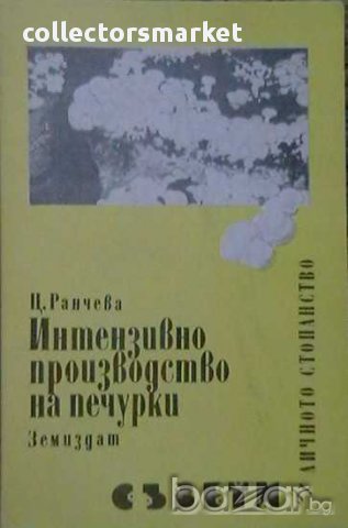 Интензивно производство на печурки, снимка 1 - Художествена литература - 8794307